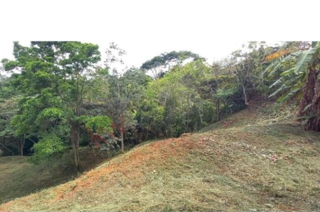 VENDO LOTE EN SANTIAGO-PURISCAL, SAN JOSÉ. en Santiago, Puriscal, San José — ₡ 90 000 000