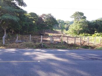 Farm For Sale Veintisiete De Abril, Santa Cruz, Guanacaste