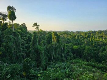 Venta de Lote en Osa Bahia-Drake, Puntarenas. RAH 26-1303 en Bahía Drake, Osa, Puntarenas — $4,000,000 - Foto 5 de 11