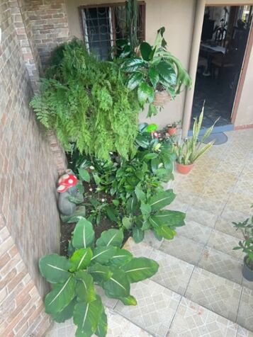 CASA DE 2 PLANTAS Y 3 LOCALES COMERCIALES EN SAN VITO.  in San Vito, Coto Brus, Puntarenas — ₡ 90 000 000