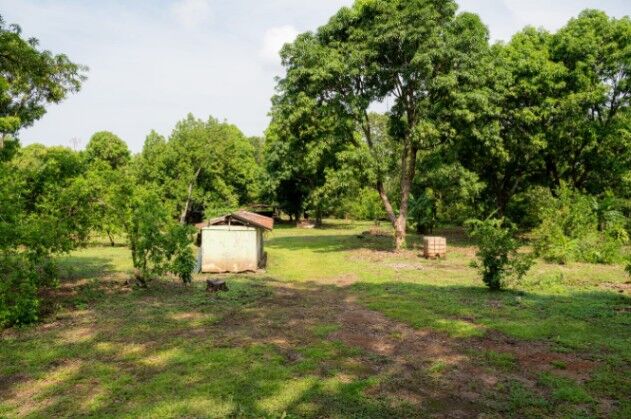 DE OPORTUNIDAD 3 BELLAS PROPIEDADES EN OROTINA.  en Orotina, Alajuela — ₡ 75 000 000