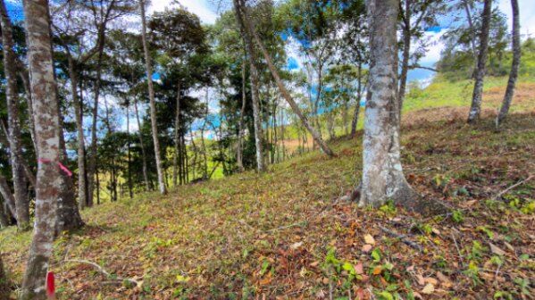 SE VENDE HERMOSO LOTE RESIDENCIAL EN LA MONTAÑA CON VISTAS ESPECTACULARES EN QUEBRADAS in San Isidro De El General, Pérez Zeledón, San José — $36,000