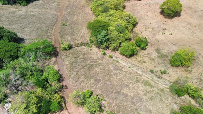 Lote en Venta, Guanacaste Matapalo, excelente oportunidad P5DN9159085 en Cabo Velas, Santa Cruz, Guanacaste — $442,000 - Foto 2 de 11
