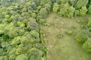 Terreno Venta Guápiles, Pococí Limón #26-1792 en Guápiles, Pococí, Limón — 40 000 000 ₡ - Foto 4 de 20