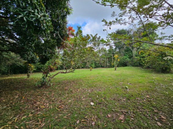 Se vende propiedad en San Isidro de Peñas Blancas, San Ramón en San Isidro, San Ramón, Alajuela — ₡ 129 200 000