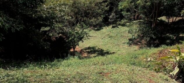 VENDO LOTE EN SANTIAGO DE PURISCAL. en Santiago, Puriscal, San José — ₡ 40 000 000