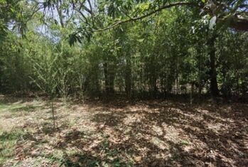 Venta de Lote en Brasil de Santa Ana. RAH 25-1945 in Brasil, Santa Ana, San José — $164,580 - Photo 5 of 12