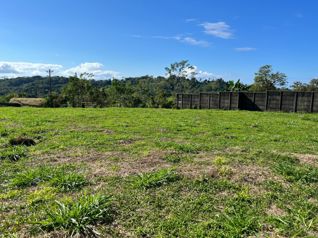 Lote en Condomnios Villas del Rio en Viilla Nueva  Quepos en Naranjito, Quepos, Puntarenas — $70,000 - Foto 4 de 7