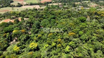LOTE DE 1 HECTÁREA CON BOSQUE PRIVADO EN LAS MERCEDES DE CAJÓN, PÉREZ ZELEDÓN en Cajón, Pérez Zeledón, San José — $70,000 - Foto 4 de 5