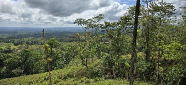 VENTA DE FINCA EN RIO CELESTE ALAJUELA in San Rafael, Guatuso, Alajuela — $345,800