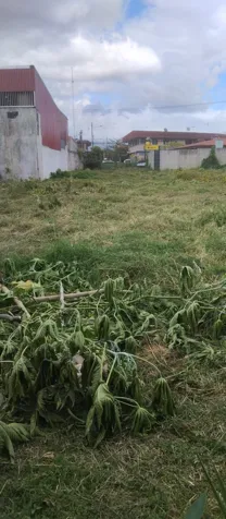 Venta de lote con uso de suelo mixto. en Desamparados, San José — ₡ 300 000 000 - Foto 3 de 5