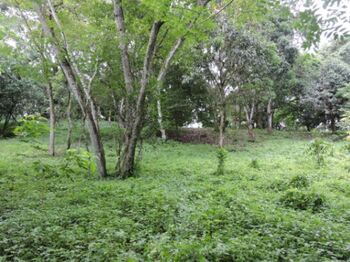 10 Ha para predio o bodegas en Orotina in La Ceiba, Orotina, Alajuela — $800,000 - Photo 5 of 6