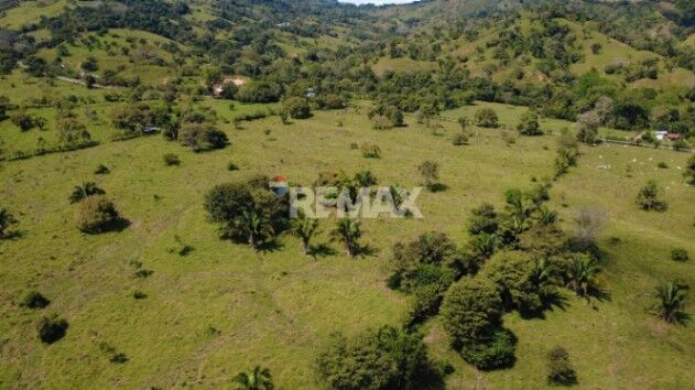 FINCA GANADERA 27 HECTÁREAS EN PÉREZ ZELEDÓN en Pejibaye, Pérez Zeledón, San José — $390,000