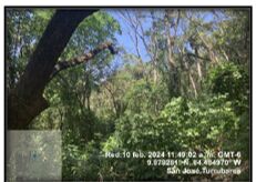 LOTE TURRUBARES en San Pedro, Turrubares, San José — ₡ 37 000 000