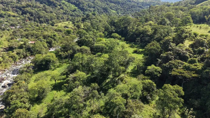 VENTA DE FINCA DE 10.9 HA FRENTE AL RIO EN VALLE DEL CHIRRIPO, SAN FRANCISCO DE RIVAS en Rivas, Pérez Zeledón, San José — $1,230,000 - Foto 2 de 14