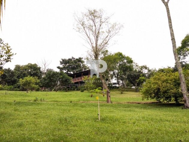QUINTA PURISCAL CON CABAÑA, CASA, POZAS DE TILAPIA Y 500 ÁRBOLES SCG8 en Grifo Alto, Puriscal, San José — ₡ 295 000 000