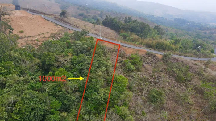 Se Vende Lote - Resindecial Bella Vista, Piedades Sur, San Ramón en Piedades Sur, San Ramón, Alajuela — ₡ 29 000 000 - Foto 2 de 8