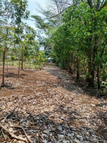 Venta de Lote en Garabito, Puntarenas.  in Tárcoles, Garabito, Puntarenas — ₡ 39 000 000