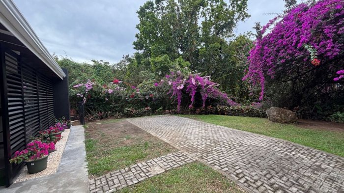 Casa de estilo moderno en comunidad privada en un entorno tipo oasis. en Atenas, Alajuela — $230,000 - Foto 3 de 19