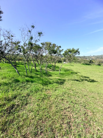 LOTE EN VENTA EN CARTAGO 4500m2 in Carmen, Cartago — ₡ 95 000 000 - Photo 2 of 18