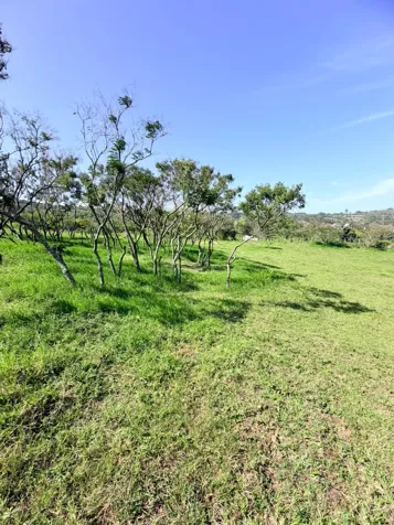 LOTE EN VENTA EN CARTAGO 4500m2 in Carmen, Cartago — ₡ 95 000 000 - Photo 2 of 18