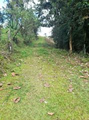 Venta de Lote, Limón, Siquirres, La Alegría