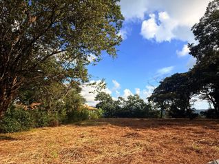 Venta de Lote, Guanacaste, Nicoya, Nosara - Foto 2 de 3