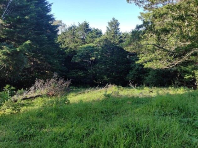 Venta de Lote en Barva-San José de La Montaña, Heredia. RAH 26-849 in San José de La Montaña, Barva, Heredia — $85,000