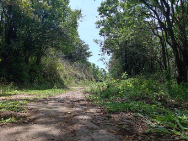 5 exclusivos Lotes de 1 Hectárea cada uno en Piedades Sur, San Ramón de Alajuela, Costa Rica.  en Piedades Sur, San Ramón, Alajuela — ₡ 50 000 000