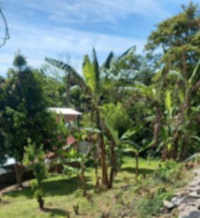 Hermoso Lote en Venta (Palmares) en Zaragoza, Palmares, Alajuela — ₡ 35 000 000