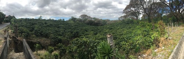 SE VENDE LOTE SAN PABLO HEREDIA CENTRO in Heredia — $2,950,000 - Photo 2 of 6