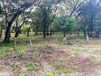 Land For Sale Nicoya, Nicoya, Guanacaste