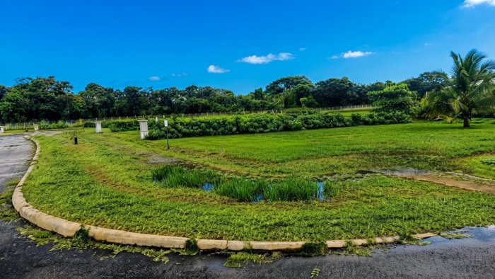VENTA  DE LOTES, PUNTARENAS, JACÓ, PLAYA HERMOSA in Jacó, Garabito, Puntarenas — $154,013