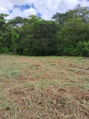 Terrenos,en Upala, Alajuela - Foto 3 de 3