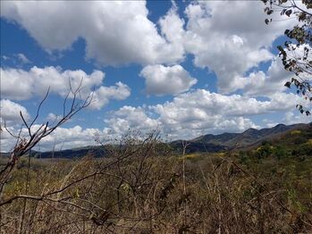 Farm For Sale Nicoya, Nicoya, Guanacaste