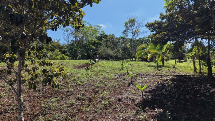 VENTA DE CASA CON LOTE DE 3.494 M2 EN TRES RIOS DE VOLCAN, BUENOS AIRES DE PUNTARENAS en Volcán, Buenos Aires, Puntarenas — $95,000 - Foto 2 de 24