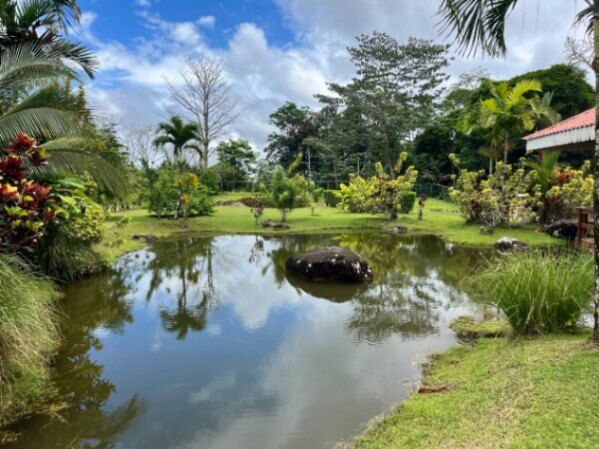 Vivir en Medio de la Naturaleza y a 20 mins de la Fortuna de San Carlos en Peñas Blancas, San Ramón, Alajuela — ₡ 16 200 000