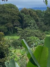 Se vende espectacular finca de 4 hectáreas con CASA en La Unión, San Pedro de Pérez Zeledón in San Pedro, Pérez Zeledón, San José — 165 000 000 ₡ - Photo 4 of 35