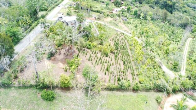 Lote con vista y servicios La Bonita, Rivas, Perez Zeledon in Rivas, Pérez Zeledón, San José — $125,000