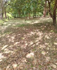 Venta de Finca en Bagaces in Bagaces, Guanacaste — $210,000 - Photo 5 of 12