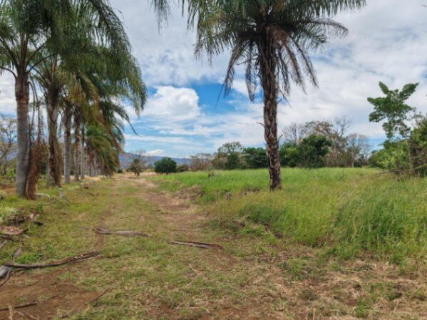 VENTA DE LOTE IDEAL PARA CONSTRUIR UN CONDOMINIO A 8KM DEL AEROPUERTO JUAN SANTA MARÍA. ALAJUELA. in Desamparados, Alajuela — $10,835,000