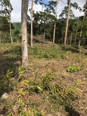 TERRENOS EN PARCELAS  en Pavones, Turrialba, Cartago — 14 500 000 ₡ - Foto 4 de 5