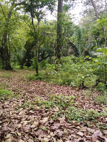VENTA DE FINCA, GUANACASTE, SANTA CRUZ, RETALLANO en La Cruz, Guanacaste — $575,000