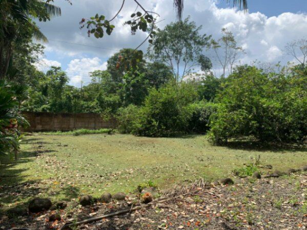 VENTA DE QUINTA EN VALLE AZUL DE SAN RAMON ALAJUELA  in San Ramón, Alajuela — ₡ 55 000 000