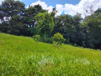 Farm For Sale La Virgen, Sarapiquí, Heredia