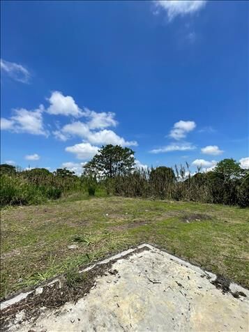 VENTA DE FINCA PARA DESARROLLO RESIDENCIAL, ALAJUELA, CANOAS en Alajuela — $1,197,850