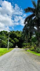 🌿 QUINTAS EN VENTA | NATURALEZA, ESPACIO Y TRANQUILIDAD en Jiménez, Pococí, Limón — ₡ 28 000 000 - Foto 5 de 13