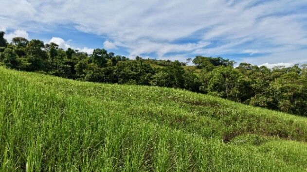 SE VENDE FINCA DE CAÑA CON VISTAS PANORAMICAS Y AGUA PROPIA en El General, Pérez Zeledón, San José — $236,979