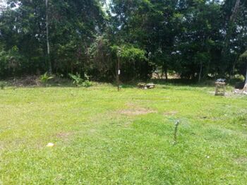 Casa con lote de 5000m2 en Peñas Blancas, San Ramón, Alajuela — 83 000 000 ₡ - Foto 4 de 4