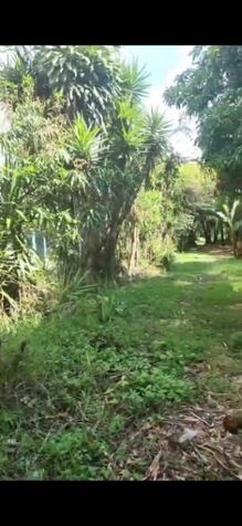 SE VENDEN 2 BELLOS LOTES EN SAN RAFAEL DE DESAMPARADOS.  en San Rafael Arriba, Desamparados, San José — ₡ 55 000